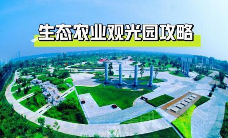 黄山农产品——自然与品质的完美结合